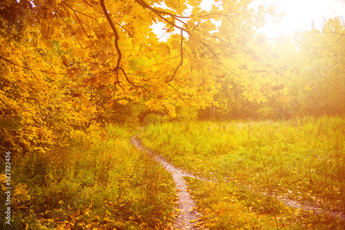 Beautiful Golden autumn photo