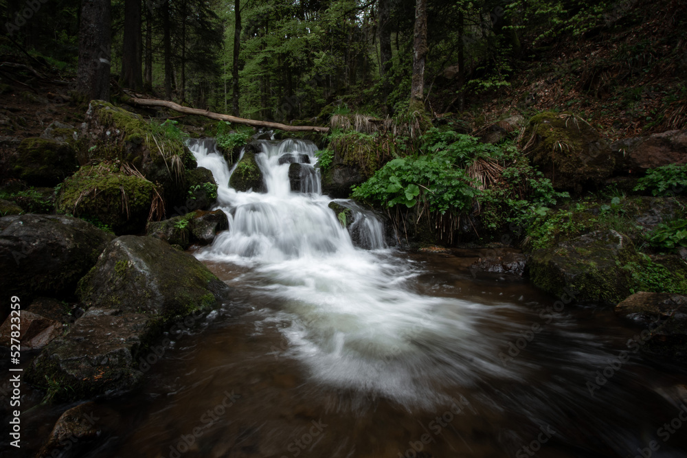 Fototapeta premium Ruisseau