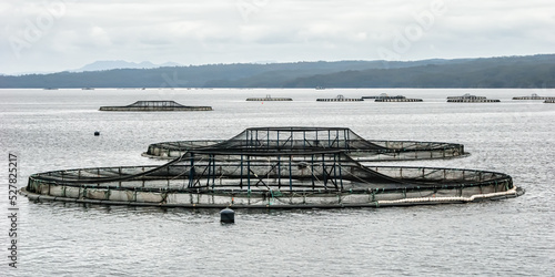 Tuna Farms in Macquarie Harbour- Tasmania