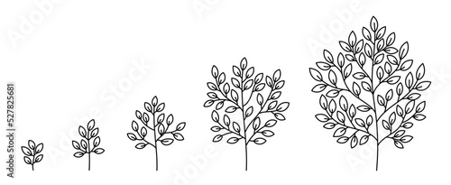 Tree growth stages. Plant development. Vector illustration. Editable outline stroke thickness. The life cycle.