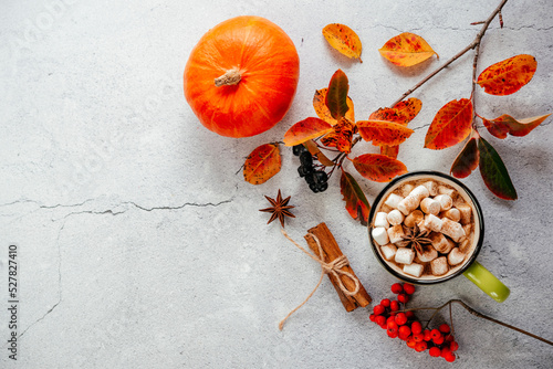 Cozy autumn hot drink with marshmallow and yellow maple leaves