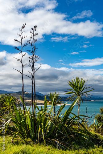 Omapere Lookout