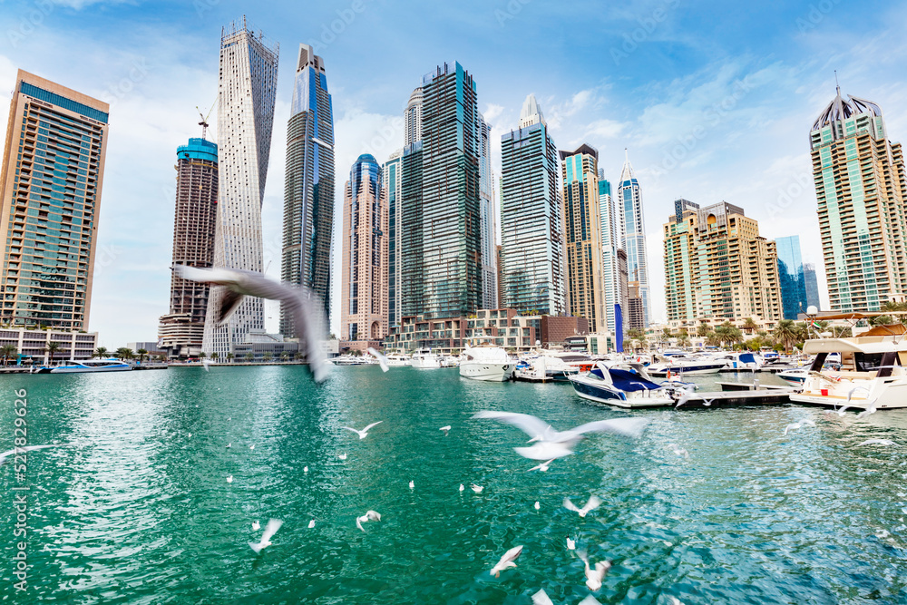 Obraz premium Dubai marina skyline in UAE