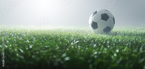 Football soccer ball on grass © Photocreo Bednarek