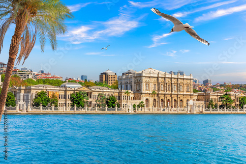 Obraz na płótnie A Seagull flies by the Dolmabahce Palace, Bosphorus, Istanbul, Turkey w salonie
