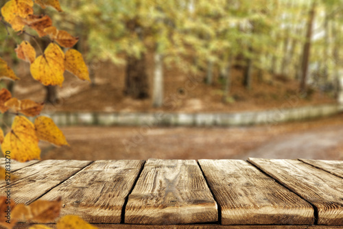 Desk of free space and autumn ladnscape. 