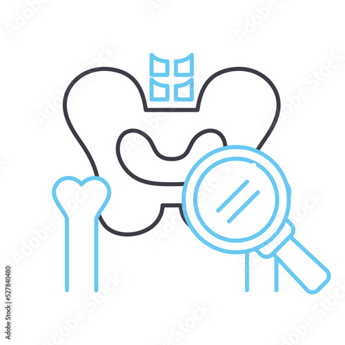 bone densitometry line icon, outline symbol, vector illustration, concept sign