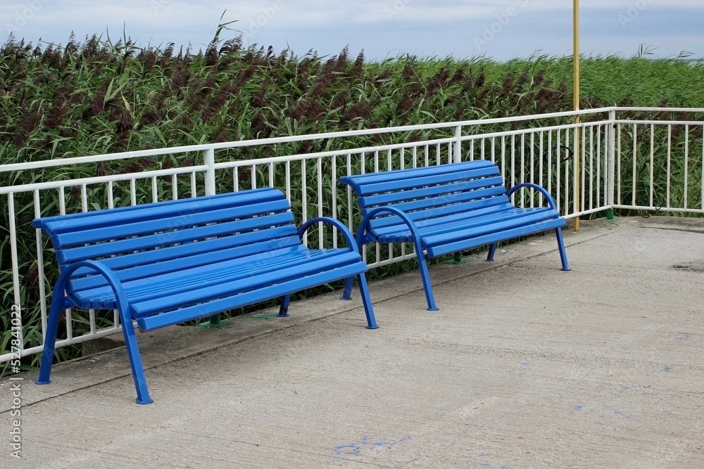 two blue benches stand on a pier near the sea with reeds two blue benches stand on a pier near the sea with reeds