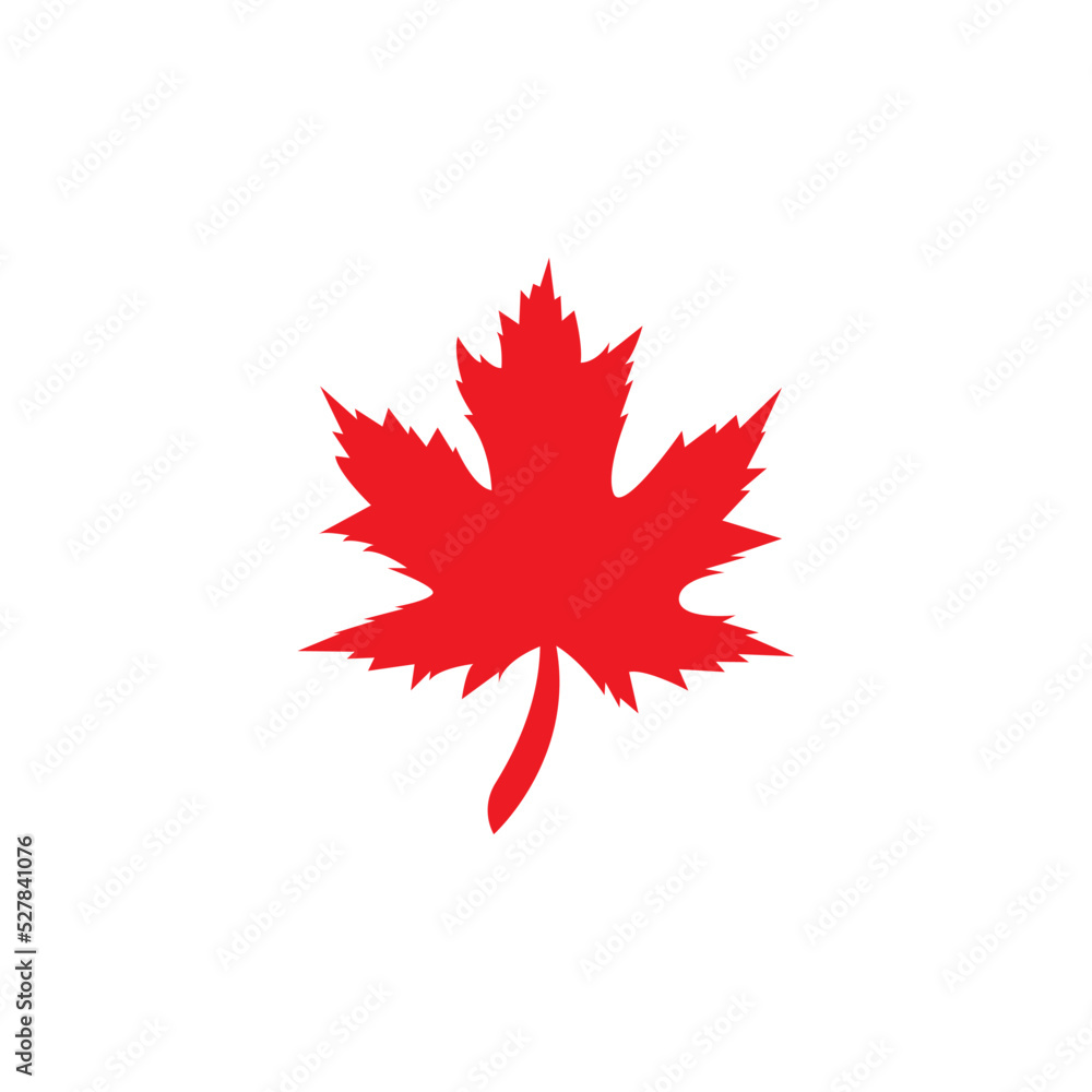 icon of a maple leaf. raster illustration, background logo icon of a maple leaf. raster illustration, background logo