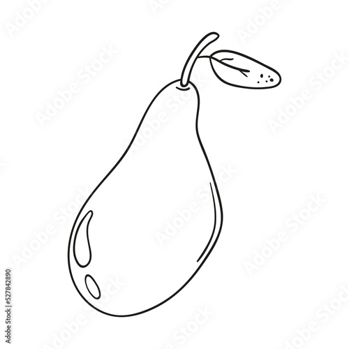 Doodle fruit pear isolated on a white background. Hand drawn, simple outline illustration. It can be used for decoration of textile, paper.