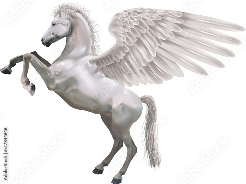 rearing pegasus horse illustration