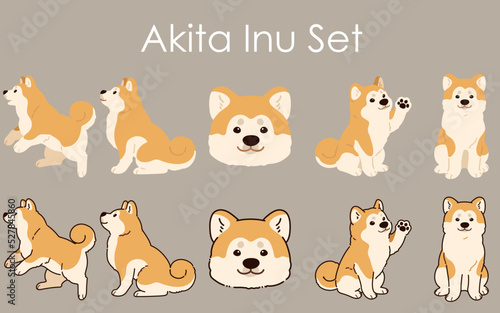 Simple and adorable Akita Dog set illustrations