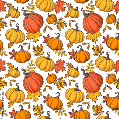 Pumpkin and autumn leaves seamless pattern. Vector illustration. Hand drawn background.