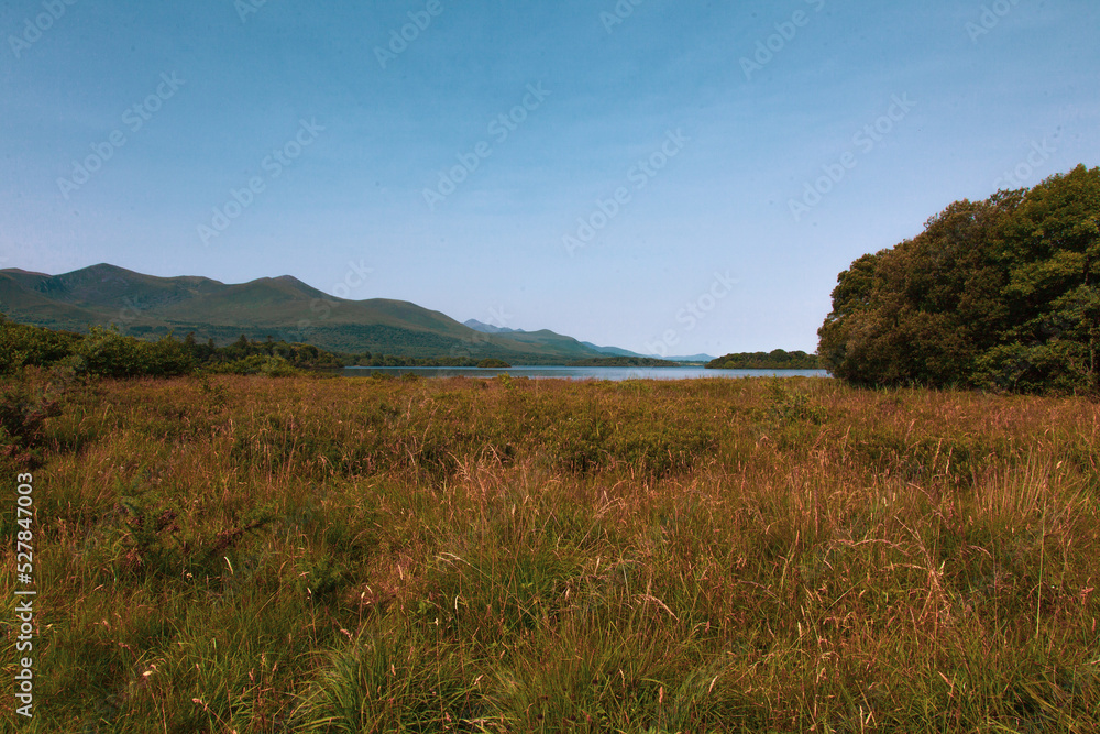 Fototapeta premium landscape with mountains