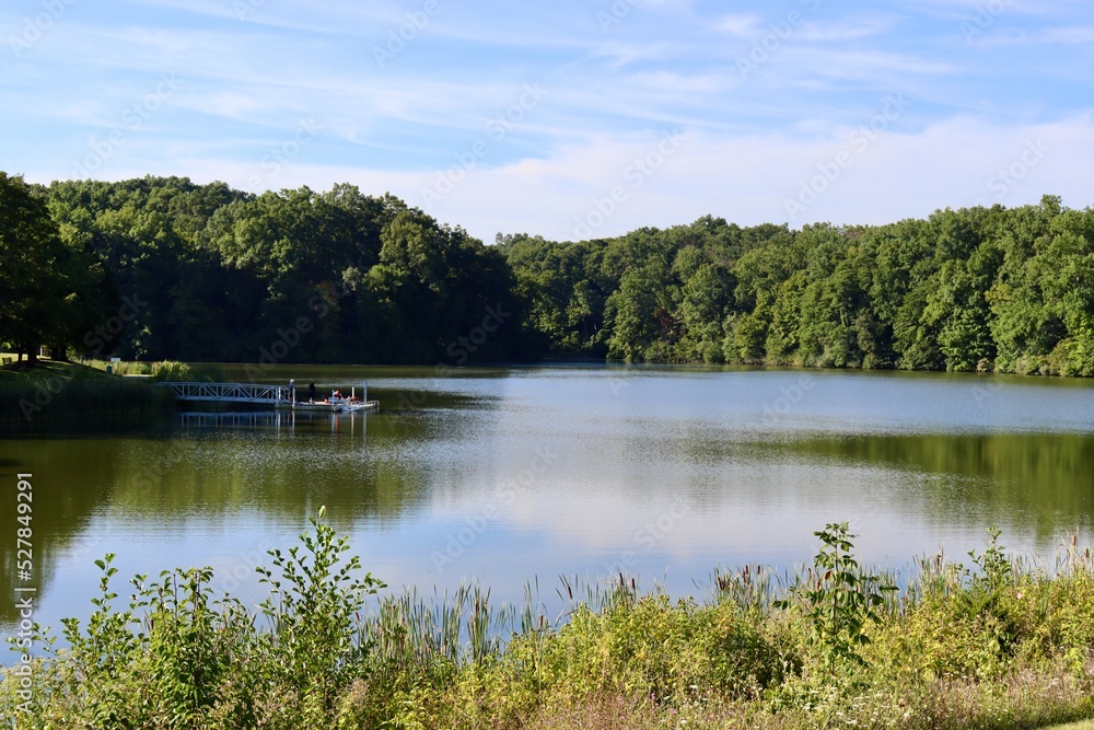 The peaceful lake in the countryside on a sunny day.