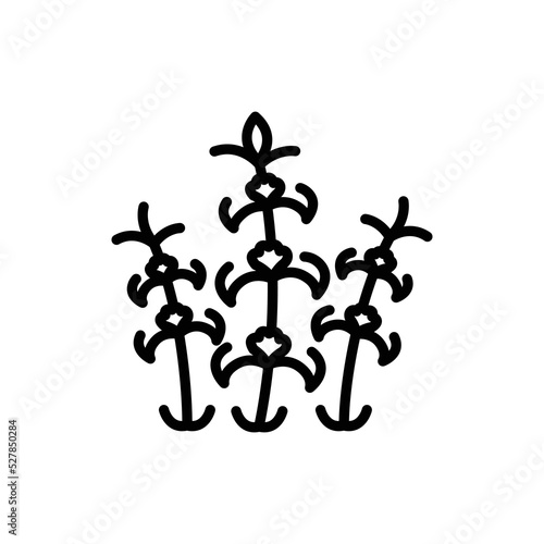 Melissa olor line icon. Pictogram for web page