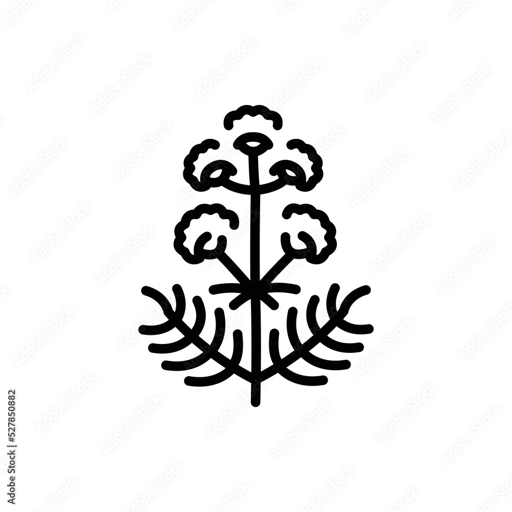 Valerian olor line icon. Pictogram for web page Valerian olor line icon. Pictogram for web page
