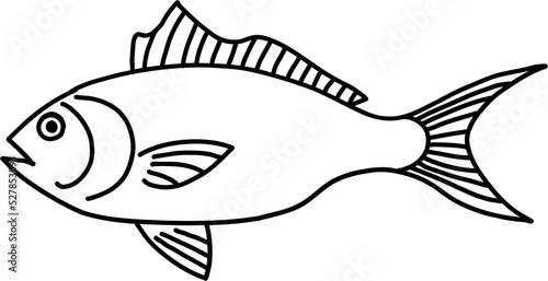 Photography doodle freehand sketch drawing of fish.