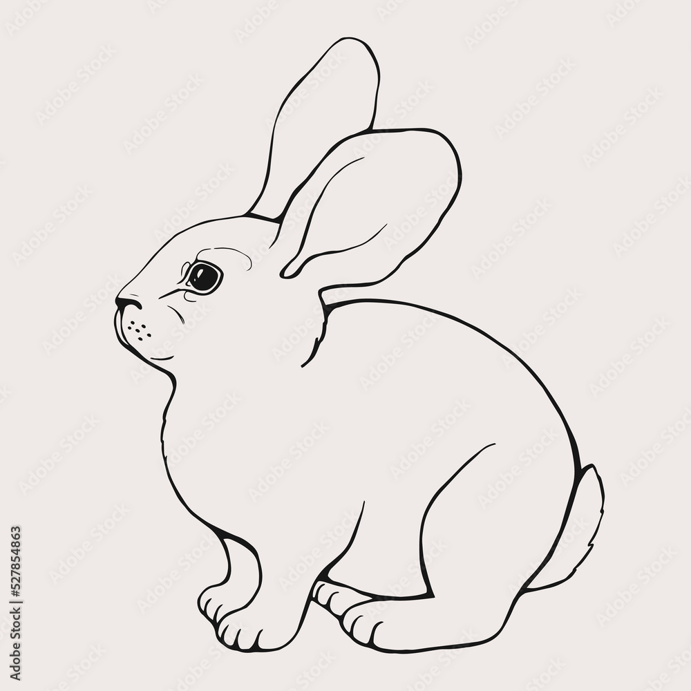 Hand drawn graphic silhouette of a rabbit. Vector outline illustration. Hand drawn graphic silhouette of a rabbit. Vector outline illustration.