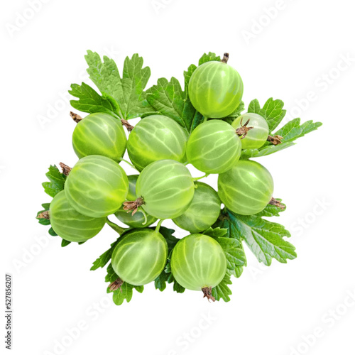 Gooseberry berries isolated on white background