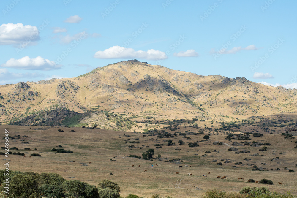 Sierra de Madrid en Comenar Viejo