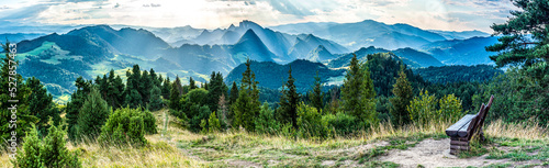 Fototapeta panorama lato drzewa krajobraz tatry