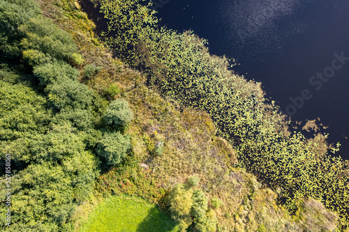 Fototapeta Naklejka Na Ścianę i Meble -  Drone photography of a small pond with green meadow and forest on the shore