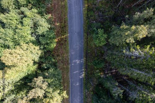 Bird#s eye view of an empty street in a forest