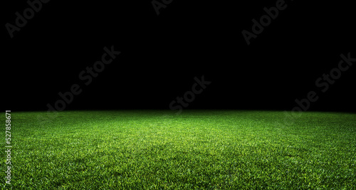 Abstract green sports pitch background