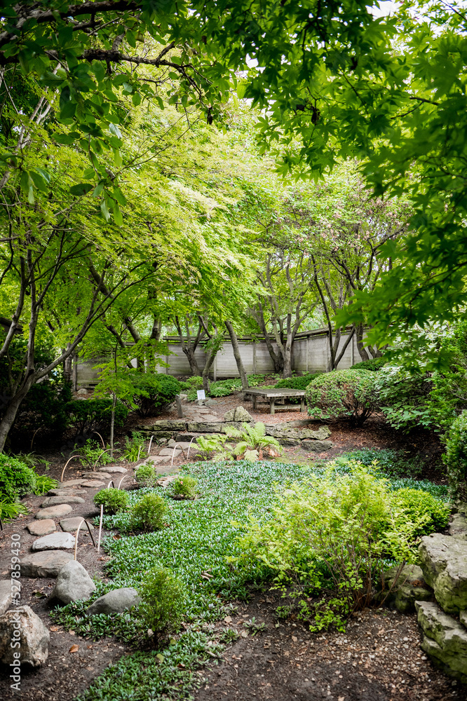 Tree-filled Japanese garden Tree-filled Japanese garden