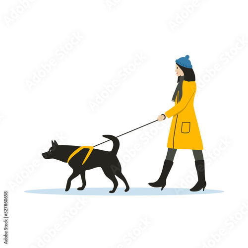 A woman in warm clothes walks a dog. Black dog in a harness on a leash. Pet care. Vector illustration in flat cartoon style on a white background