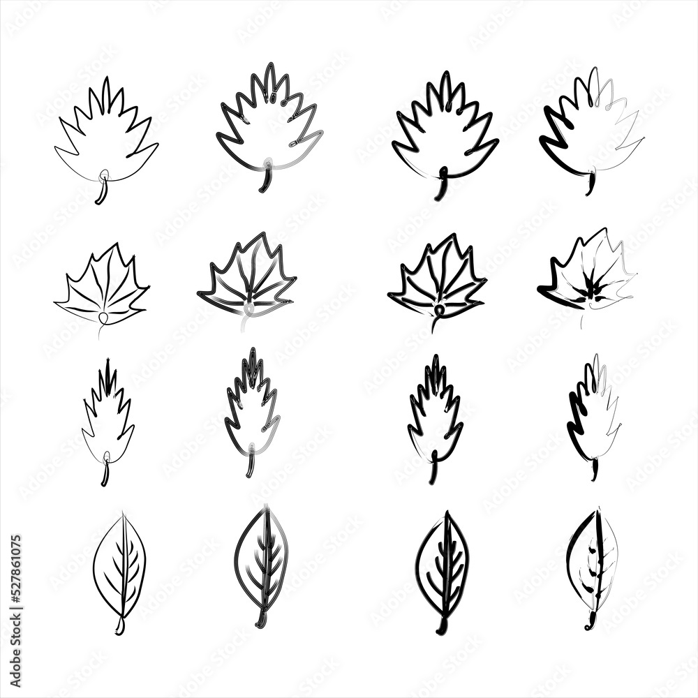 Leaf drawing vector illustration for design elements