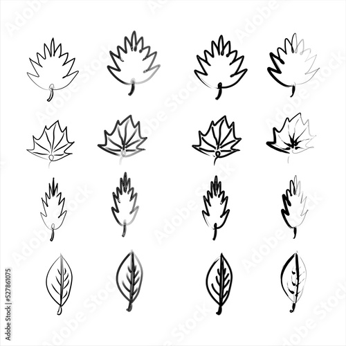 Leaf drawing vector illustration for design elements