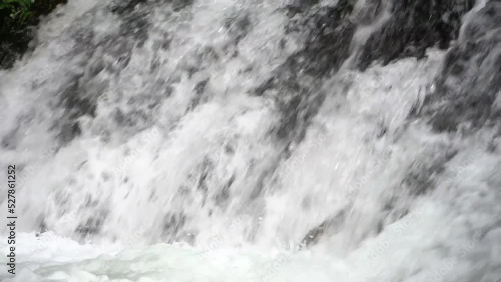 Cherry salmon waterfall climbing in Shibetsu River, Nakashibetsu Town, Hokkaido Cherry salmon waterfall climbing in Shibetsu River, Nakashibetsu Town, Hokkaido