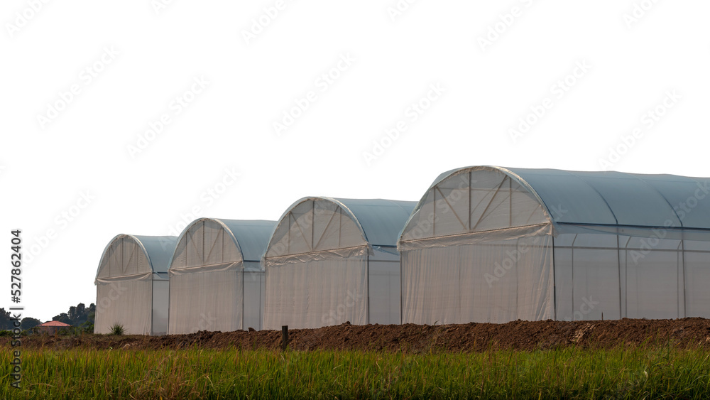 View isolates cultivation dome building is made of white plastic tarp covering the length installed on the ground in rural Thailand.