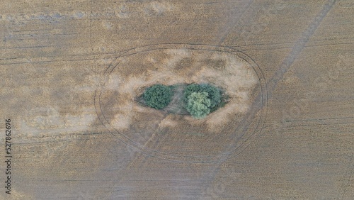 Top view photo with flying drone of the land with fields in the countryside. Photo of a field with untreated areas. Trees in the field