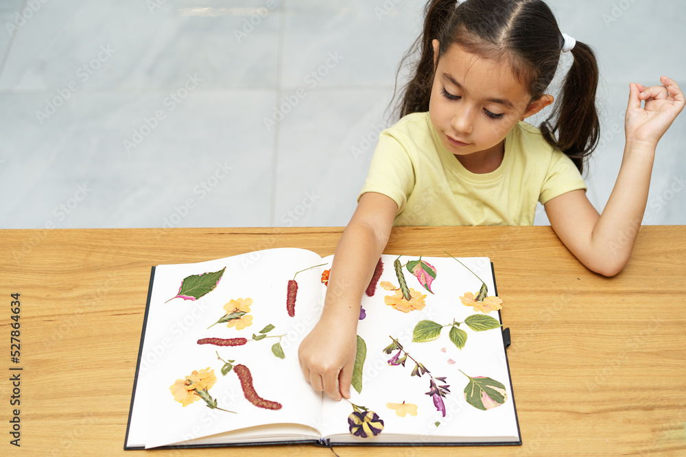 Child with dried flowers making herbarium on dining wood table in home. Dried pressed flowers view from above. Child with dried flowers making herbarium on dining wood table in home. Dried pressed flowers view from above.
