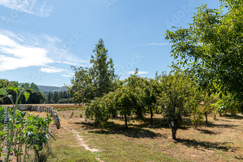 Boveda de Mera, Spain. Fields around this small Galician village photo