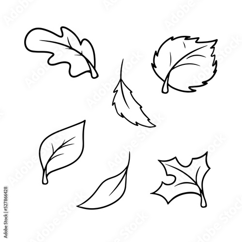 Monochrome Set of autumn icons  autumn leaves from different trees  leaf fall  vector cartoon