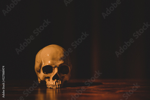 Single human skull on wood table with black background. The closeup photography idea