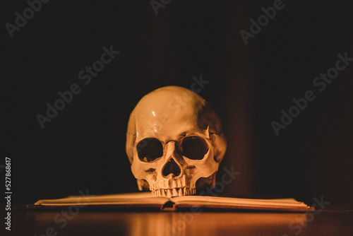 The art photo of anatomy model human skull with open book. The closeup horror photography idea.