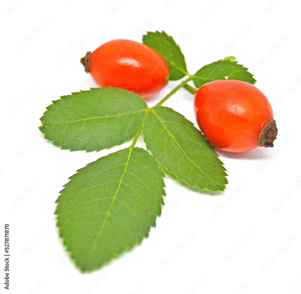 Rosehip isolated on a white background. Fresh raw briar berries with leaves
Rosehip isolated on a white background. Fresh raw briar berries with leaves