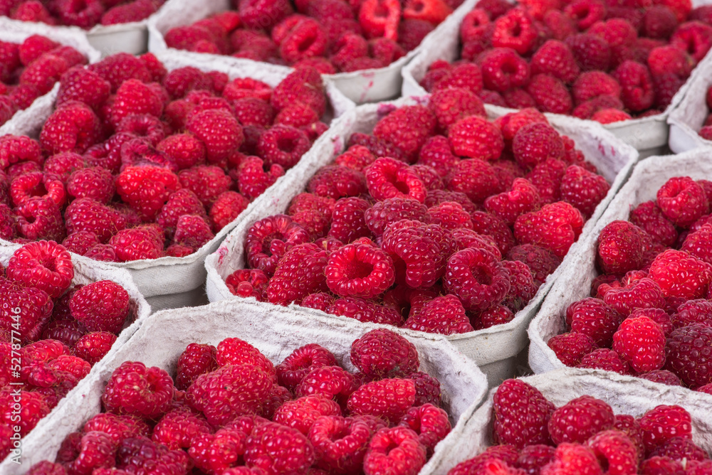 Raspberries in cardboard box on stall of food market Raspberries in cardboard box on stall of food market