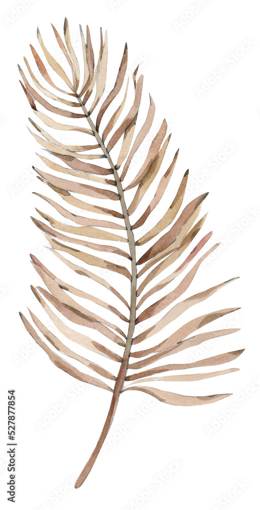 watercolor tropical boho plant illustration