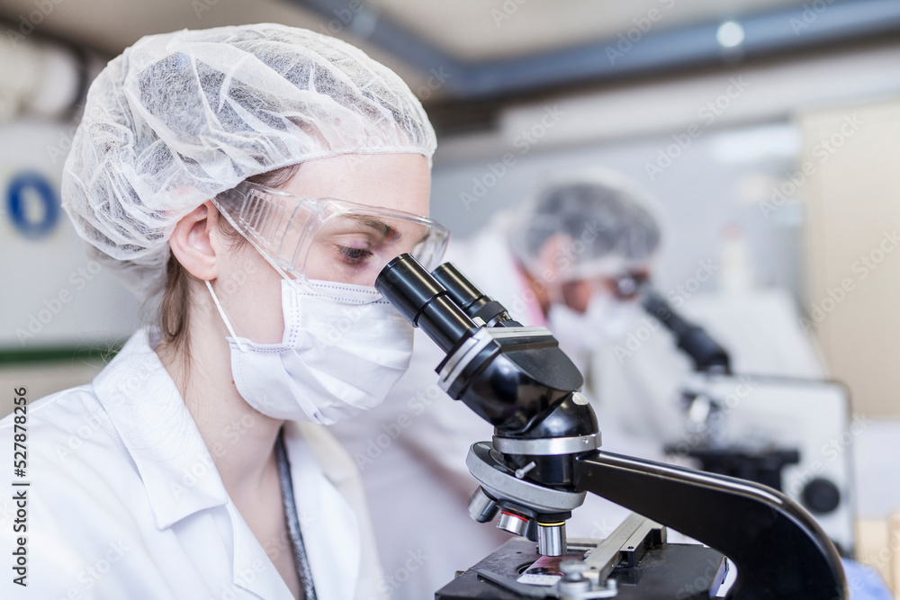 colleagues scientists working at laboratory colleagues scientists working at laboratory