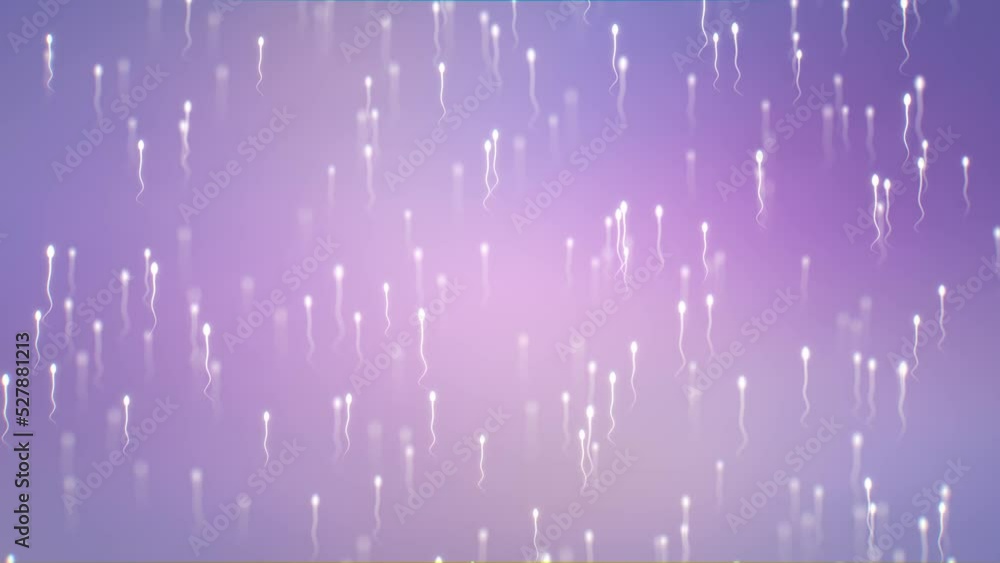 Animation of male reproductive cells (Spermatozoa) moving on their way to the egg cell (Ovum). Donor sperm insemination concept