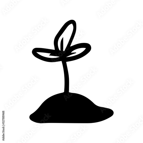 doodle seedling

