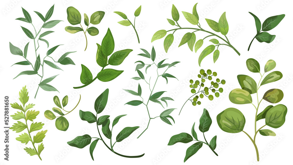 Set green leaves. Decorative beauty element illustration for design leaf in watercolor style. To be used for wedding and invitations
Set green leaves. Decorative beauty element illustration for design leaf in watercolor style. To be used for wedding and invitations