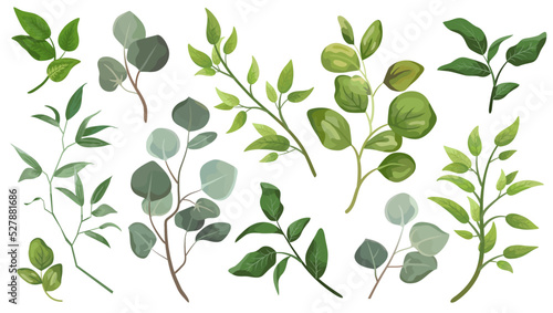 Set green leaves. Decorative beauty element illustration for design leaf in watercolor style. To be used for wedding and invitations
