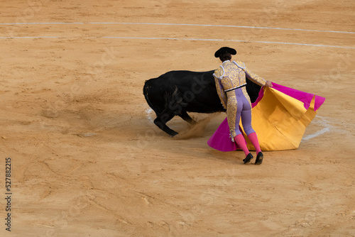 scene of a bullfight with a cape photo